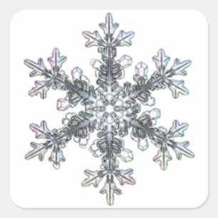Snow flake square sticker