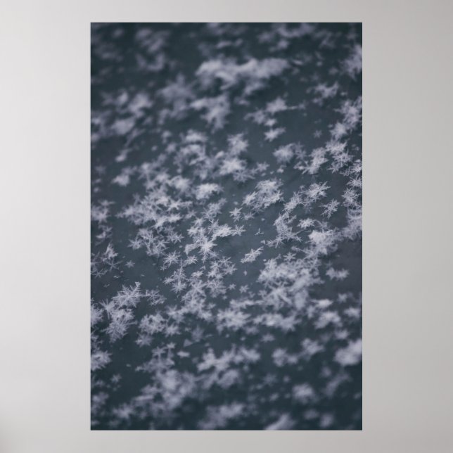 Snow flakes poster (Front)
