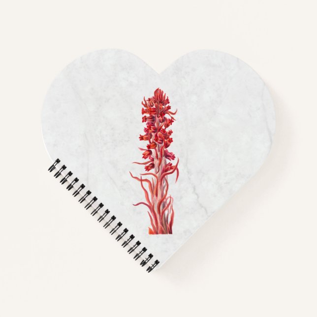 Snow Flower Notebook (Front)