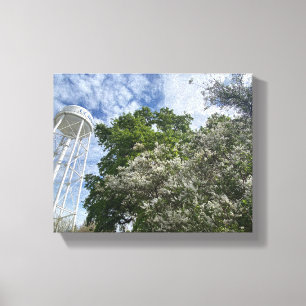 Snow Flurry Canvas Print