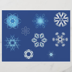 snow flyer