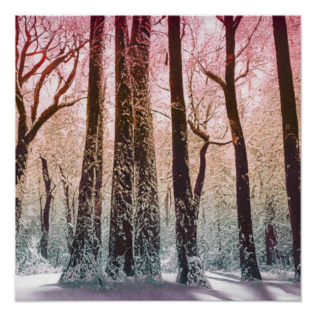  SNOW FOREST NATURE POSTER (Front)