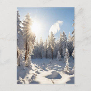 Snow Forest  Postcard