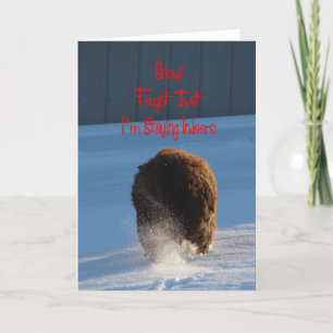Snow! Forget That! I'm Staying Indoors, Sheep Card