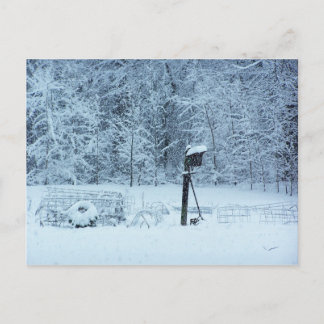 Snow Garden Postcard