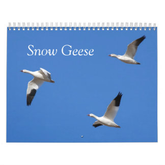 Snow Geese Custom Printed Calendar