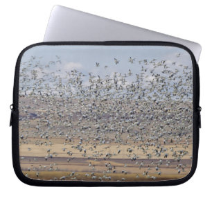 Snow geese during spring migration laptop sleeve
