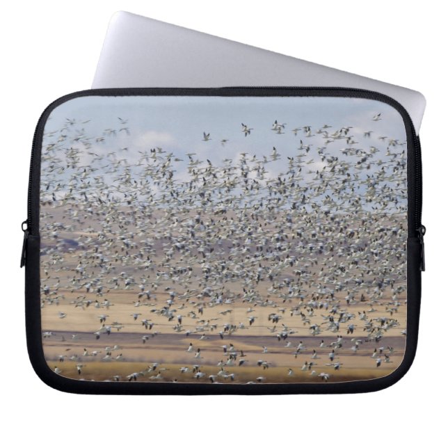 Snow geese during spring migration laptop sleeve (Front)