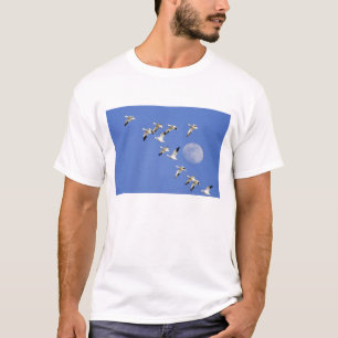 Snow geese take flight at Freezeout Lake NWR T-Shirt