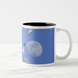 Snow geese take flight at Freezeout Lake NWR Two-Tone Coffee Mug