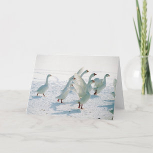 Snow Geese Xmas Holiday Christmas Blank Inside Card