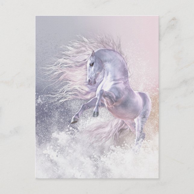 Snow Ghost Postcard (Front)