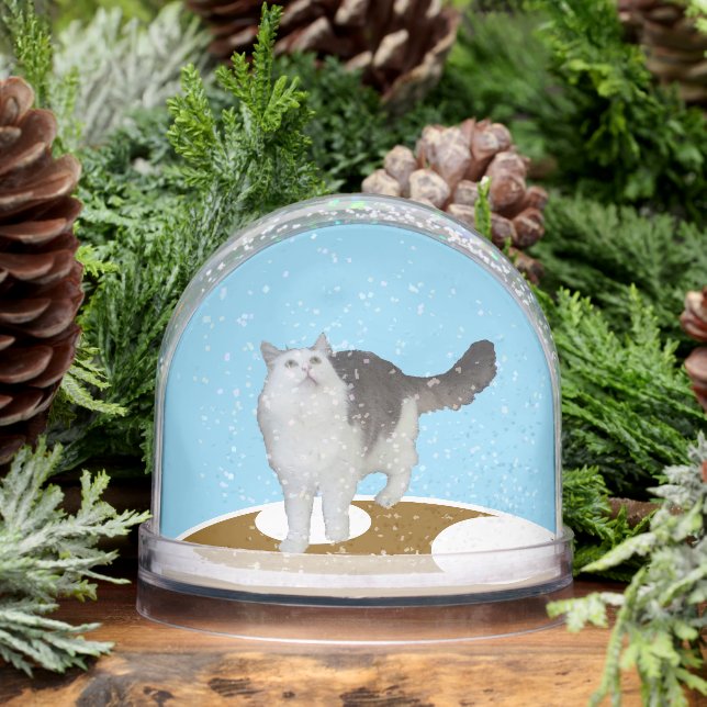 Snow Globe - Cat Looking Up (Winter)