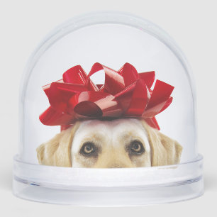 SNOW GLOBE WITH YELLOW LABRADOR RETRIEVER