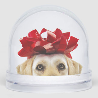 SNOW GLOBE WITH YELLOW LABRADOR RETRIEVER