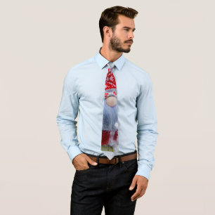 Snow Gnome 04 Tie