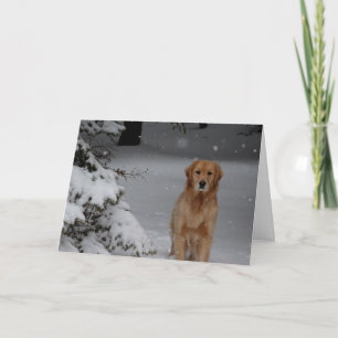 Snow Golden Holiday Card