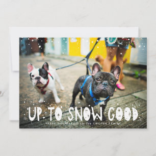Snow Good   Pet Holiday Photo Card