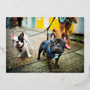 Snow Good   Pet Holiday Photo Card