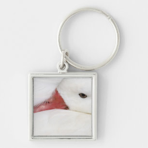 Snow Goose Chen caerulescens Key Ring