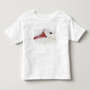Snow Goose Chen caerulescens Toddler T-Shirt