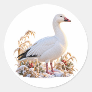 Snow Goose Christmas Winter Wetland Wildlife Art Classic Round Sticker