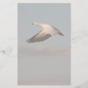 Snow Goose Flying Stationery