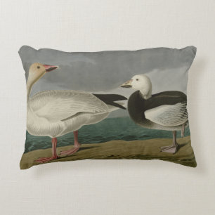 Snow Goose from Audubon's Birds of America Decorative Cushion