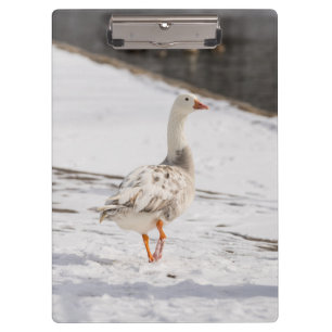 Snow Goose Strut Clipboard