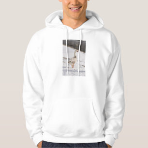 Snow Goose Strut Hoodie