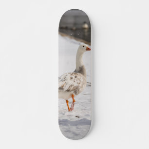 Snow Goose Strut Skateboard