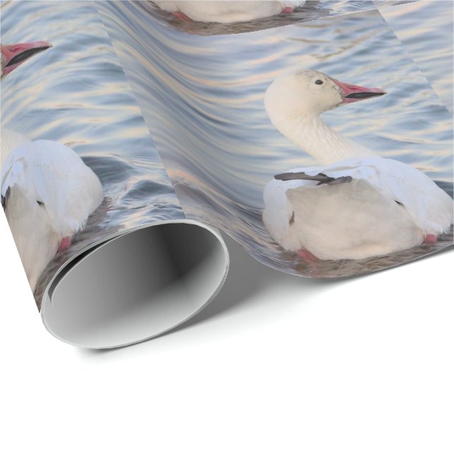 Snow Goose Wrapping Paper (Roll Corner)