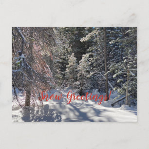 Snow Greetings from Tahoe City! Postcard