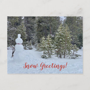 Snow Greetings from Tahoe City!  Postcard