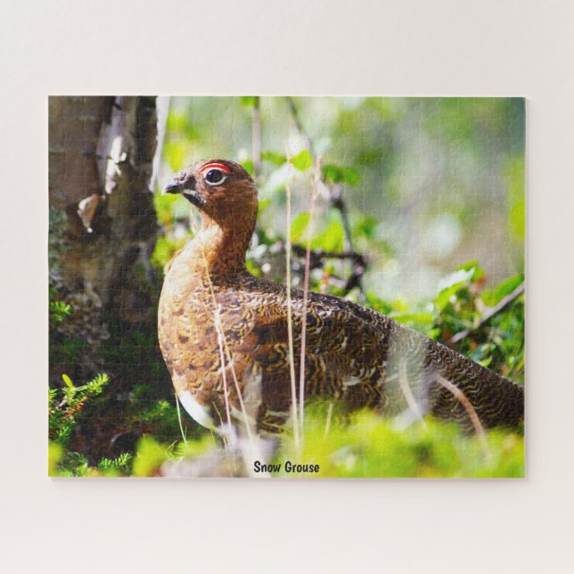 Snow Grouse Jigsaw Puzzle (Horizontal)