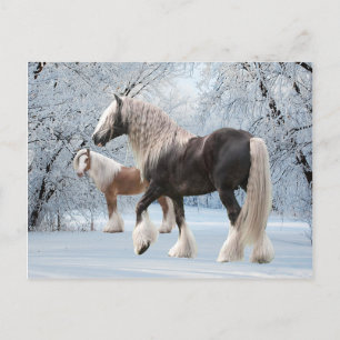 "Snow Gypsies" Postcard