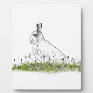 Snow Hare Plaque
