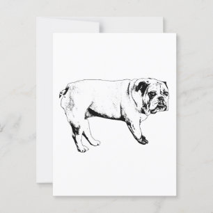 Snow-Hello Bulldog Postcard