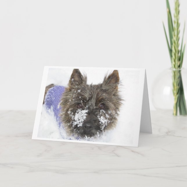 Snow! Holiday Card (Front)