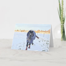 Snow horse greetings card