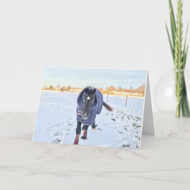 Snow horse greetings card (Front)