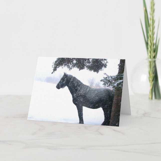 Snow Horse Holiday Card (Front)