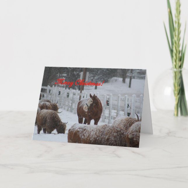 Snow horse, Merry Christmas! Holiday Card (Front)
