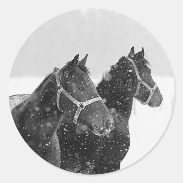 Snow Horses Classic Round Sticker (Front)
