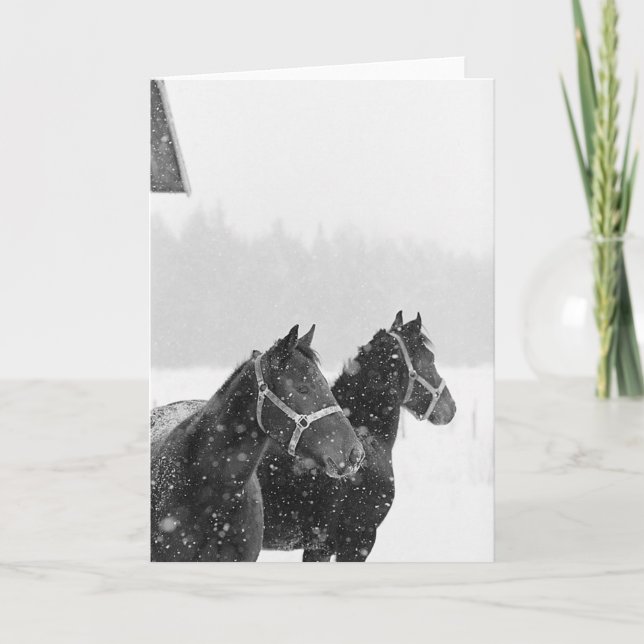 Snow Horses Equine Xmas Christmas Hioliday Holiday Card (Front)