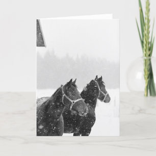 Snow Horses Equine Xmas Christmas Hioliday Holiday Card