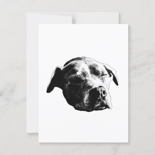 Snow-Hushed Hello Postcard
