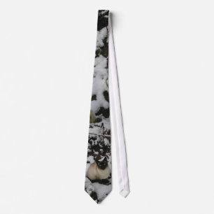 Snow Images, Snow Cat Tie