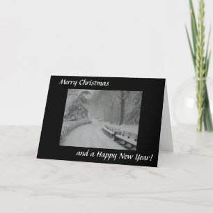 Snow in Central Park Holiday Card