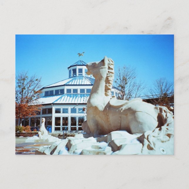 Snow in Coolidge Postcard (Front)